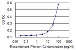 CD44 Antibody in ELISA (ELISA)