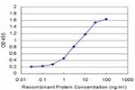 CDH11 Antibody in ELISA (ELISA)