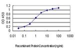 CDH17 Antibody in ELISA (ELISA)