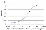 CDH17 Antibody in ELISA (ELISA)