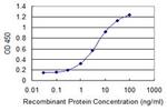 CDKN2D Antibody in ELISA (ELISA)