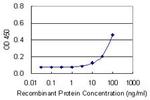 CDO1 Antibody in ELISA (ELISA)