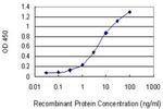 CDS1 Antibody in ELISA (ELISA)