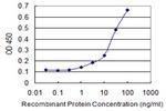 CHD1 Antibody in ELISA (ELISA)