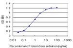 CHRM2 Antibody in ELISA (ELISA)