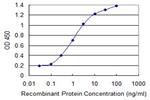 CHUK Antibody in ELISA (ELISA)