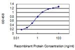 CKM Antibody in ELISA (ELISA)