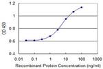 CLCA1 Antibody in ELISA (ELISA)