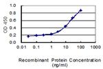 CLCN2 Antibody in ELISA (ELISA)