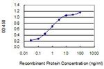 CORT Antibody in ELISA (ELISA)