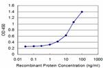 COX6B1 Antibody in ELISA (ELISA)