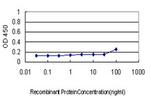 COX6C Antibody in ELISA (ELISA)