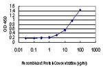 CREB1 Antibody in ELISA (ELISA)