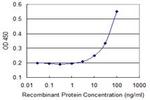 CRMP1 Antibody in ELISA (ELISA)