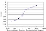 CRYM Antibody in ELISA (ELISA)