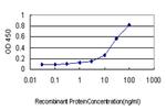 CSE1L Antibody in ELISA (ELISA)