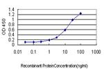 CSE1L Antibody in ELISA (ELISA)