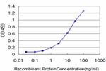 CSE1L Antibody in ELISA (ELISA)