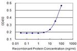 CSF2RA Antibody in ELISA (ELISA)