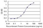 CSTA Antibody in ELISA (ELISA)