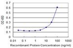 CSTA Antibody in ELISA (ELISA)