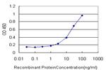 CTBP1 Antibody in ELISA (ELISA)