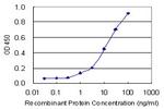 CTBP1 Antibody in ELISA (ELISA)