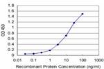 CTH Antibody in ELISA (ELISA)