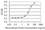 CTSE Antibody in ELISA (ELISA)