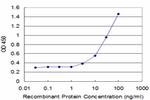 CX3CR1 Antibody in ELISA (ELISA)