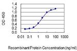 CYP7A1 Antibody in ELISA (ELISA)