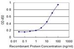 DAD1 Antibody in ELISA (ELISA)