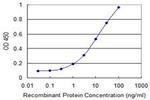 DAF Antibody in ELISA (ELISA)