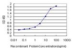 DAO Antibody in ELISA (ELISA)