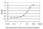 DARS Antibody in ELISA (ELISA)