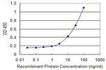 DCK Antibody in ELISA (ELISA)