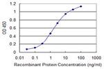 DHX8 Antibody in ELISA (ELISA)