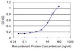 DECR1 Antibody in ELISA (ELISA)