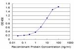 DES Antibody in ELISA (ELISA)