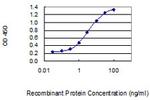 CFD Antibody in ELISA (ELISA)