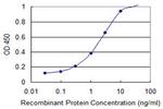 DFFA Antibody in ELISA (ELISA)