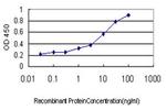 DHODH Antibody in ELISA (ELISA)