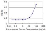 DLX3 Antibody in ELISA (ELISA)