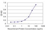 DLX5 Antibody in ELISA (ELISA)