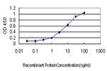 DNM2 Antibody in ELISA (ELISA)