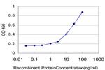 DPP4 Antibody in ELISA (ELISA)