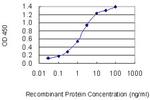 E2F3 Antibody in ELISA (ELISA)