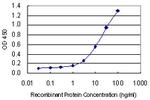 E2F3 Antibody in ELISA (ELISA)