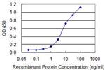 EBF1 Antibody in ELISA (ELISA)