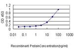 EBF1 Antibody in ELISA (ELISA)